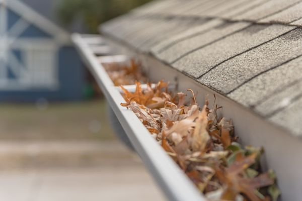 Leaf Barrier Installation in Logan